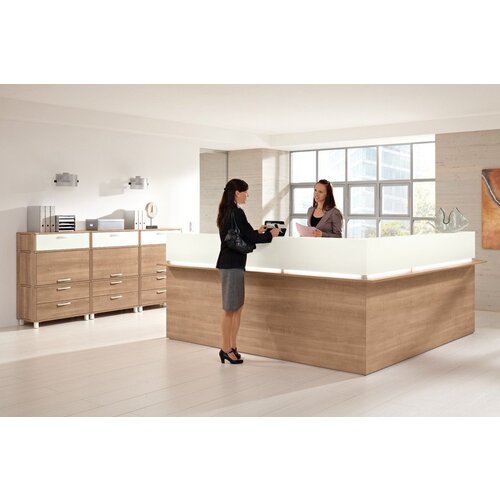 Tint Office Tint Office Maatwerk Balie Receptie Tint Office Tint Office Maatwerk Balie Receptie