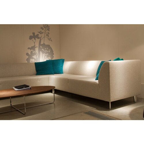 Montis Montis Fox bank Montis Montis Fox bank