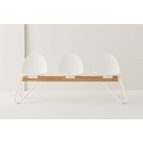 Segis Segis Camel Bank Segis Segis Camel Bank