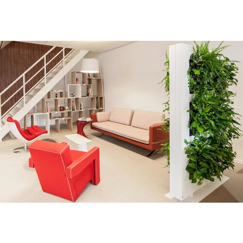 Palau Palau Kylian bank