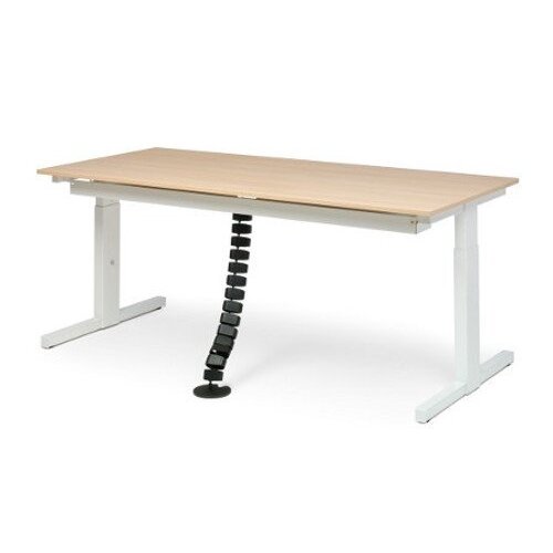 Bachmann Bachmann Cable Management