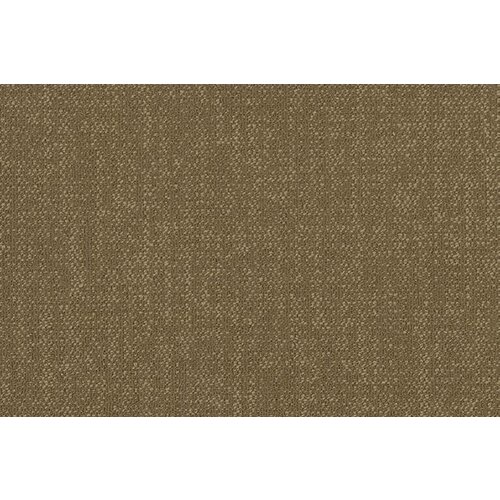 Shaw Shaw Color Frame tapijttegel 5T 081