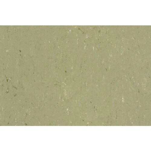 Gerflor Gerflor DLW Linoleum Colorette Neo Care vloerbedekking Gerflor Gerflor DLW Linoleum Colorette Neo Care vloerbedekking