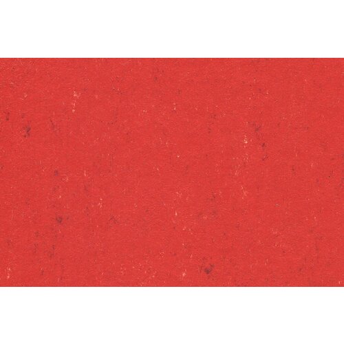 Gerflor Gerflor DLW Linoleum Colorette Neo Care vloerbedekking Gerflor Gerflor DLW Linoleum Colorette Neo Care vloerbedekking