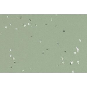 Forbo Flooring Forbo Flooring Sphera Evolution homogeen vinyl vloer Forbo Flooring Forbo Flooring Sphera Evolution homogeen vinyl vloer