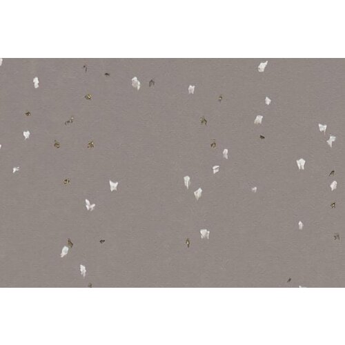 Forbo Flooring Forbo Flooring Sphera Evolution homogeen vinyl vloer Forbo Flooring Forbo Flooring Sphera Evolution homogeen vinyl vloer