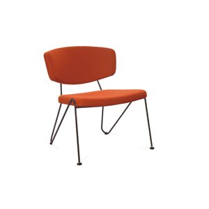 Neil David Neil David F1 fauteuil