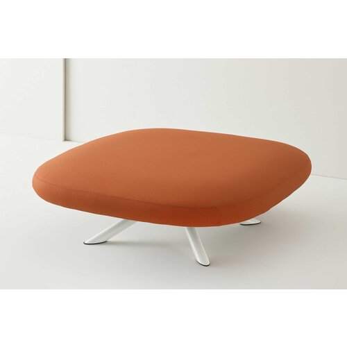 Segis Segis Flores ziteilanden Segis Segis Flores ziteilanden