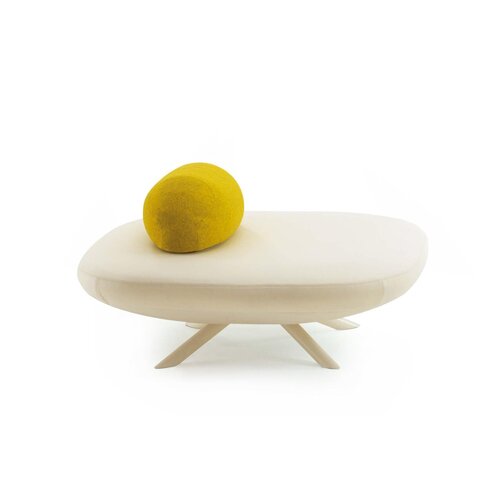 Segis Segis Flores ziteilanden Segis Segis Flores ziteilanden