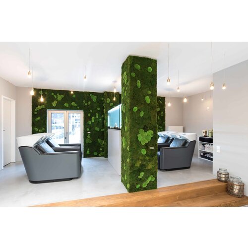 Draumr Draumr Polarmoss Green Walls