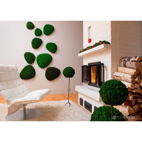 Draumr Draumr Polarmoss Island akoestische groene wand