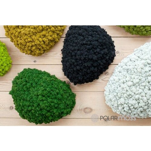 Draumr Draumr Polarmoss Island akoestische groene wand