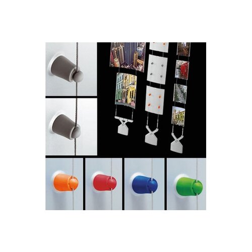 Caimi Caimi Koala brochurestandaard