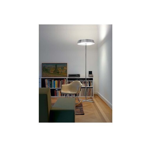 Belux Belux Koi Belux Belux Koi