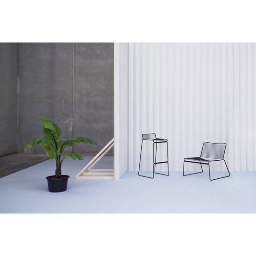 HAY HAY Hee Kruk HAY HAY Hee Kruk