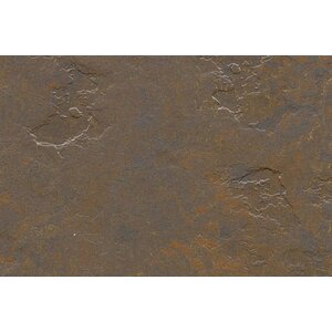 Forbo Flooring Forbo Flooring Marmoleum Solid Slate linoleum vloerbedekking Forbo Flooring Forbo Flooring Marmoleum Solid Slate linoleum vloerbedekking