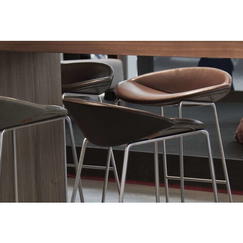 Montis Montis Mick barkruk Montis Montis Mick barkruk