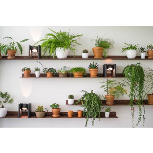 Functionals Functionals Mr Ed tafellamp Functionals Functionals Mr Ed tafellamp