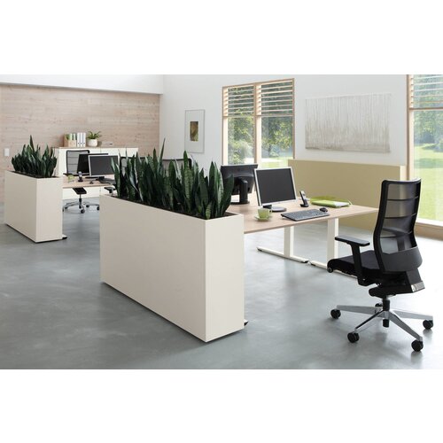 Palmberg Palmberg Plantenbak Palmberg Palmberg Plantenbak