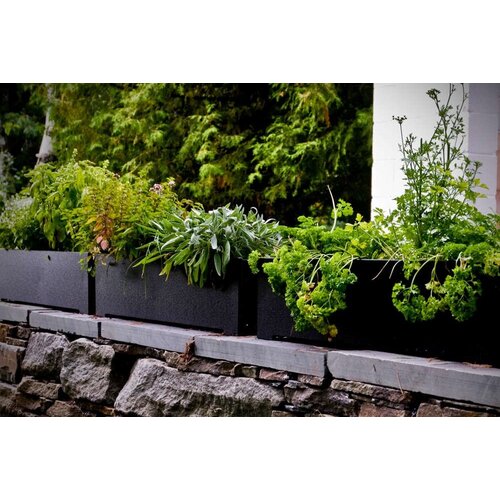 Loll Designs Loll Designs Planters Loll Designs Loll Designs Planters