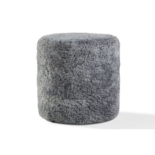 Jonas Ihreborn Jonas Ihreborn Polly