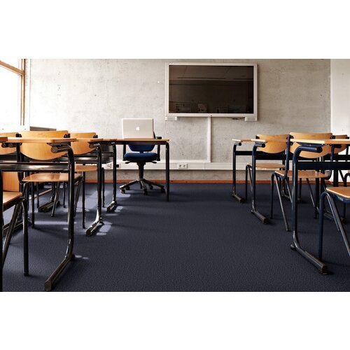 Desso Desso Protect schoonlooptegel Desso Desso Protect schoonlooptegel