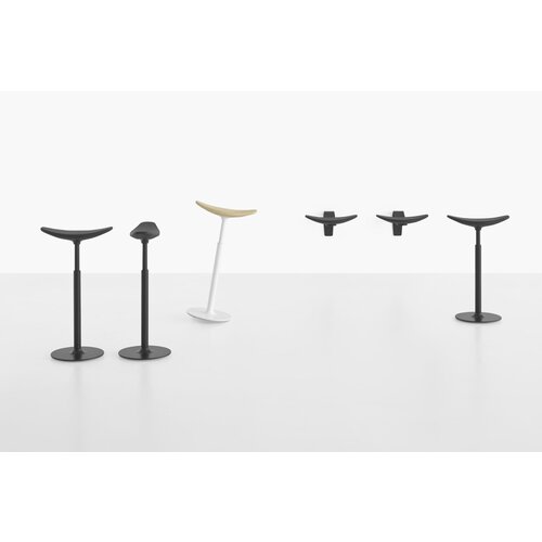 Lapalma Lapalma Ryo kruk Lapalma Lapalma Ryo kruk