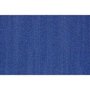 Shaw Shaw Scape tapijttegel 5T 080