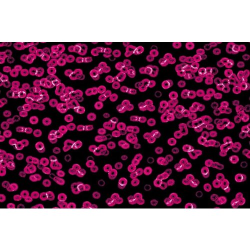 Forbo Flooring Forbo Flooring Flotex Sottsass geprint tapijt