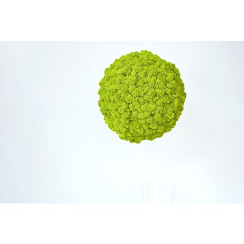 Draumr Draumr Polarmoss Sphere Draumr Draumr Polarmoss Sphere