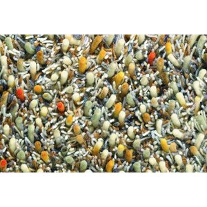 Brink & Campman Brink & Campman Spring vloerkleed Brink & Campman Brink & Campman Spring vloerkleed