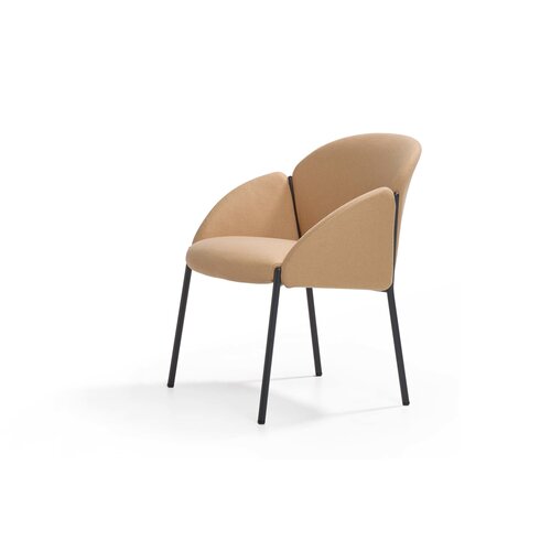 Artifort Artifort Andrea Stoel Artifort Artifort Andrea Stoel