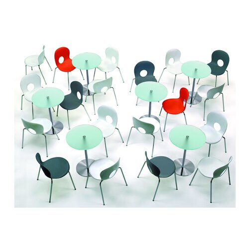 Rexite Rexite Olivia Stoel