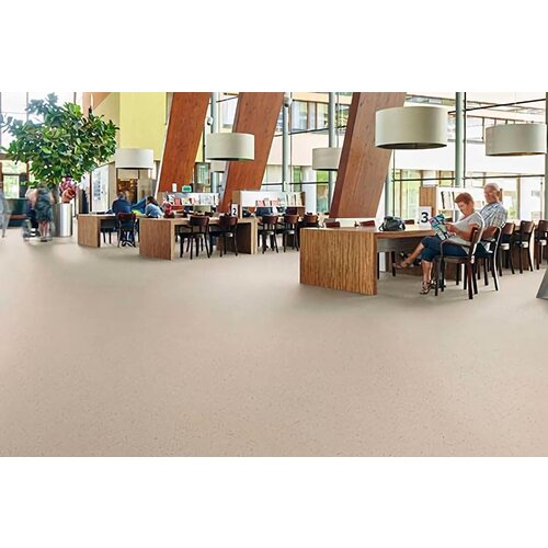 Forbo Flooring Forbo Flooring Step Surestep Star antislip vinyl vloer Forbo Flooring Forbo Flooring Step Surestep Star antislip vinyl vloer