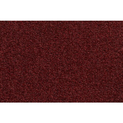 Carpet Concept Carpet Concept Concept 505 tapijt Carpet Concept Carpet Concept Concept 505 tapijt