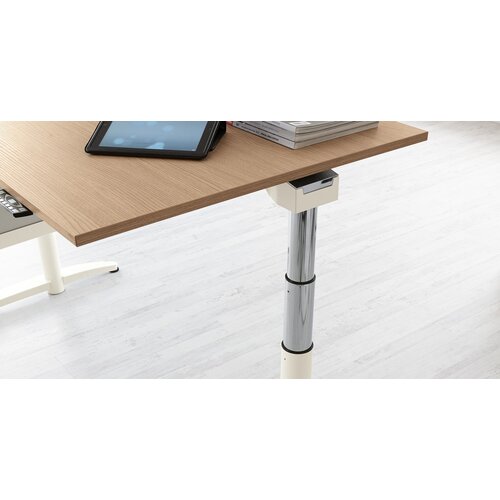 Palmberg Palmberg Caldo Palmberg Palmberg Caldo